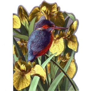 4142 Kingfisher w. Yellow Irisses
