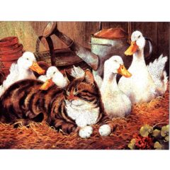 6641 Cat Together with Goose