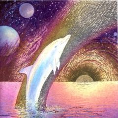 7056 Rainbow Dolphin