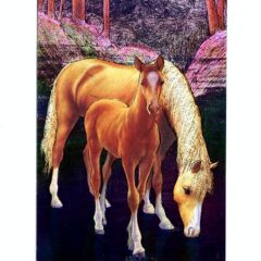 P1361 Horses in Twilight