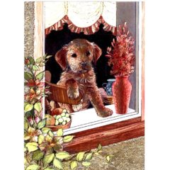 P1399 Puppy at Window – Dogs