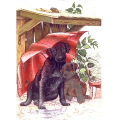 P1847 Mongrels Sheltering – dogs