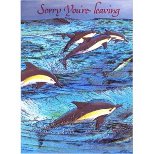 3448 Flying Dolphin – Sorry Youre’ Leaving